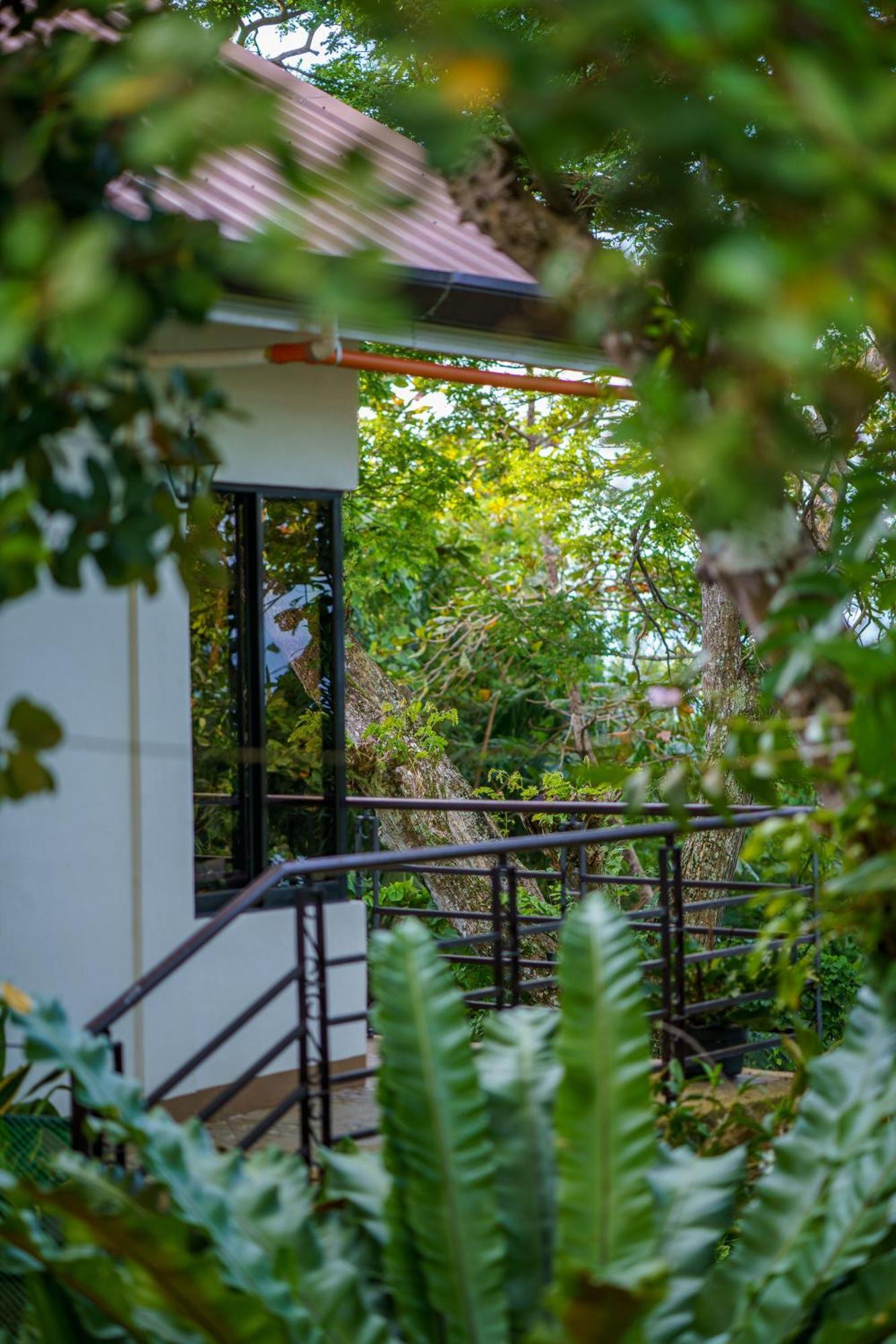 Oceanside 2 Bedroom House, 100Mbps Wifi Panglao Island Exterior photo