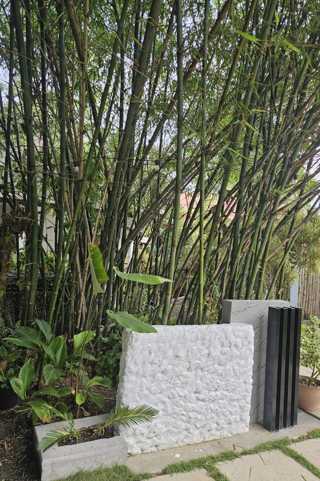 Oceanside 2 Bedroom House, 100Mbps Wifi Panglao Island Exterior photo