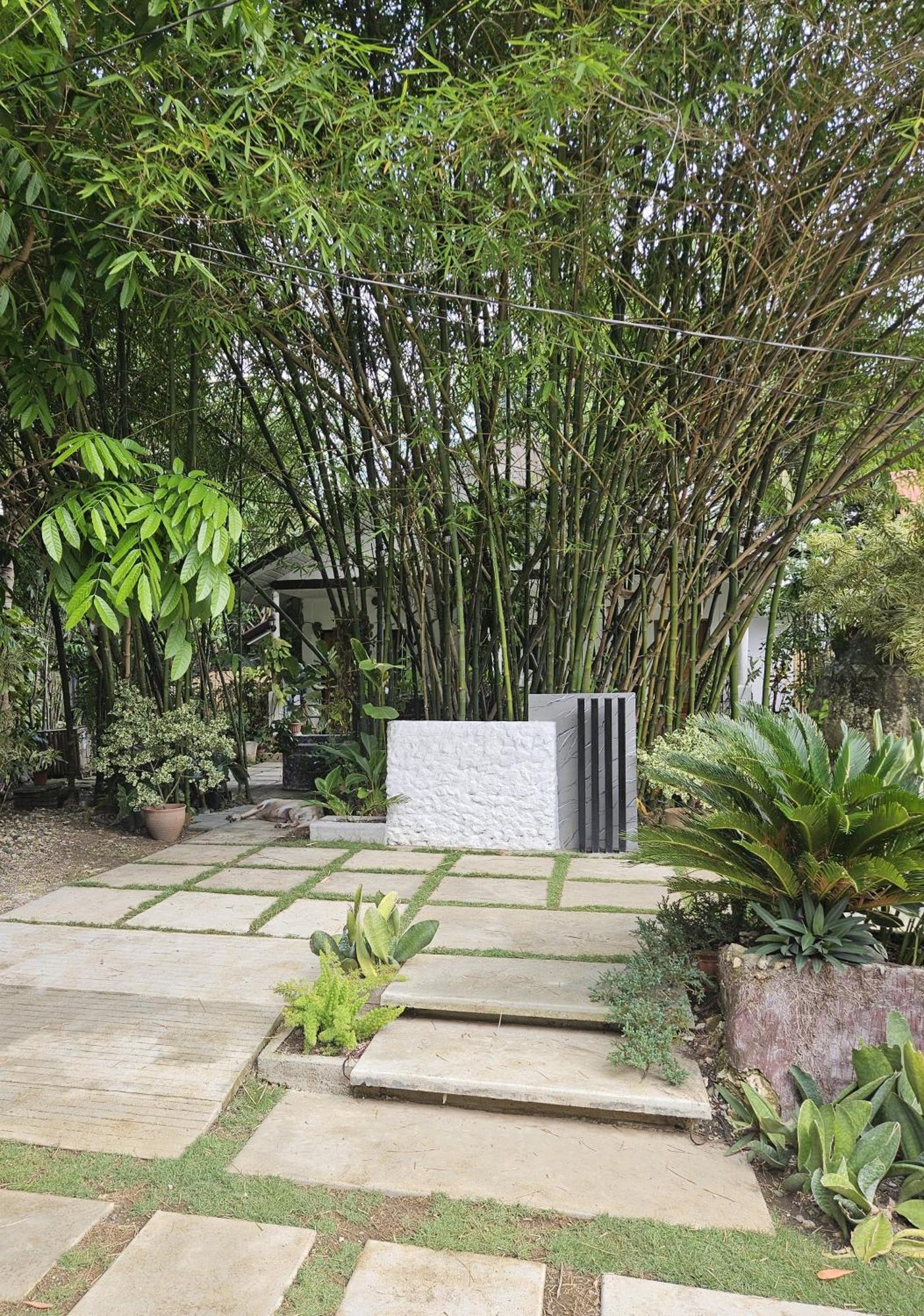 Oceanside 2 Bedroom House, 100Mbps Wifi Panglao Island Exterior photo